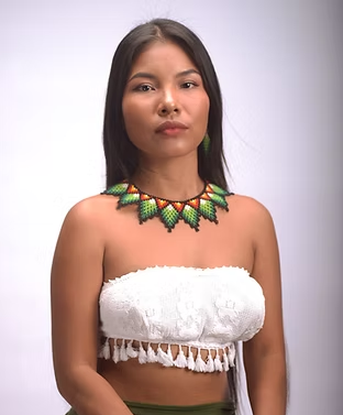 08dccea3da420b7b992c3599ac857576870074ce